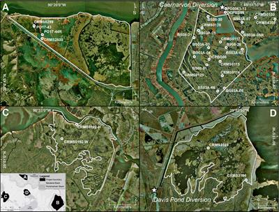 Impact of freshwater diversions on vegetation in coastal wetlands based on remote sensing derived vegetation index